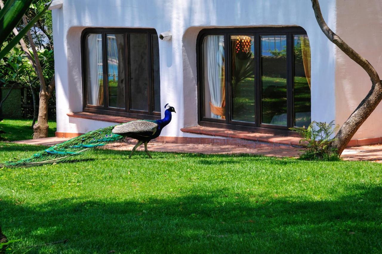 Arbatax Park Resort - Ville Del Parco Àrbatax Exterior foto